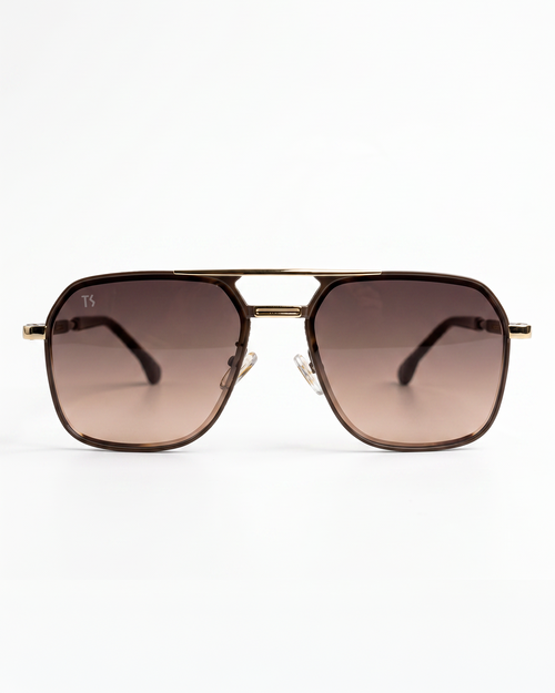 TS24 Sunglasses - Brown