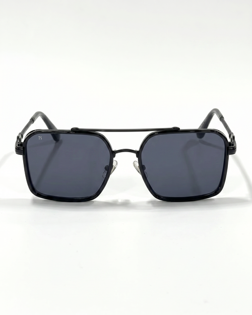 TS22 Sunglasses - black