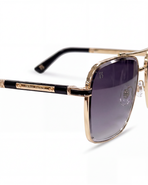 TS27 Sunglasses - Black/Gold (C3)