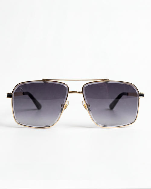 TS27 Sunglasses - Black/Gold (C3)
