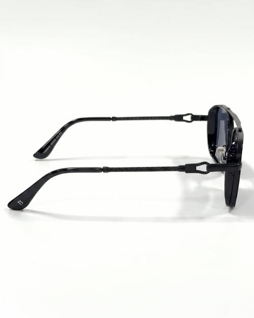 TS22 Sunglasses - black