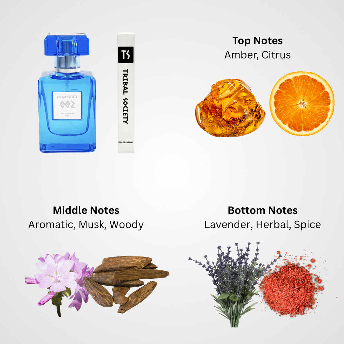 002 Eau De Parfum 100ml – Tribal Society - Main Image