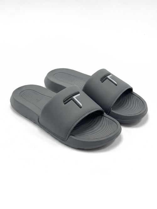 TTECH Slides - Grey