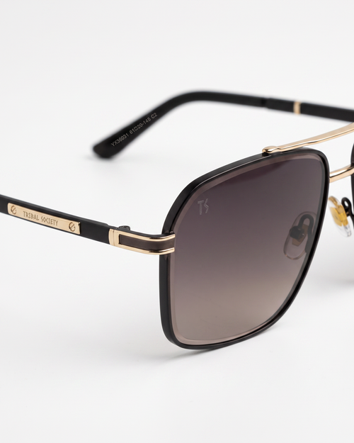 TS27 Sunglasses - Brown (C2)