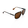TS20 Sunglasses - Brown/ Tortoise