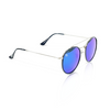 TS14 Sunglasses - Silver/ Blue