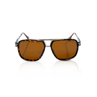 TS20 Sunglasses - Brown/ Tortoise